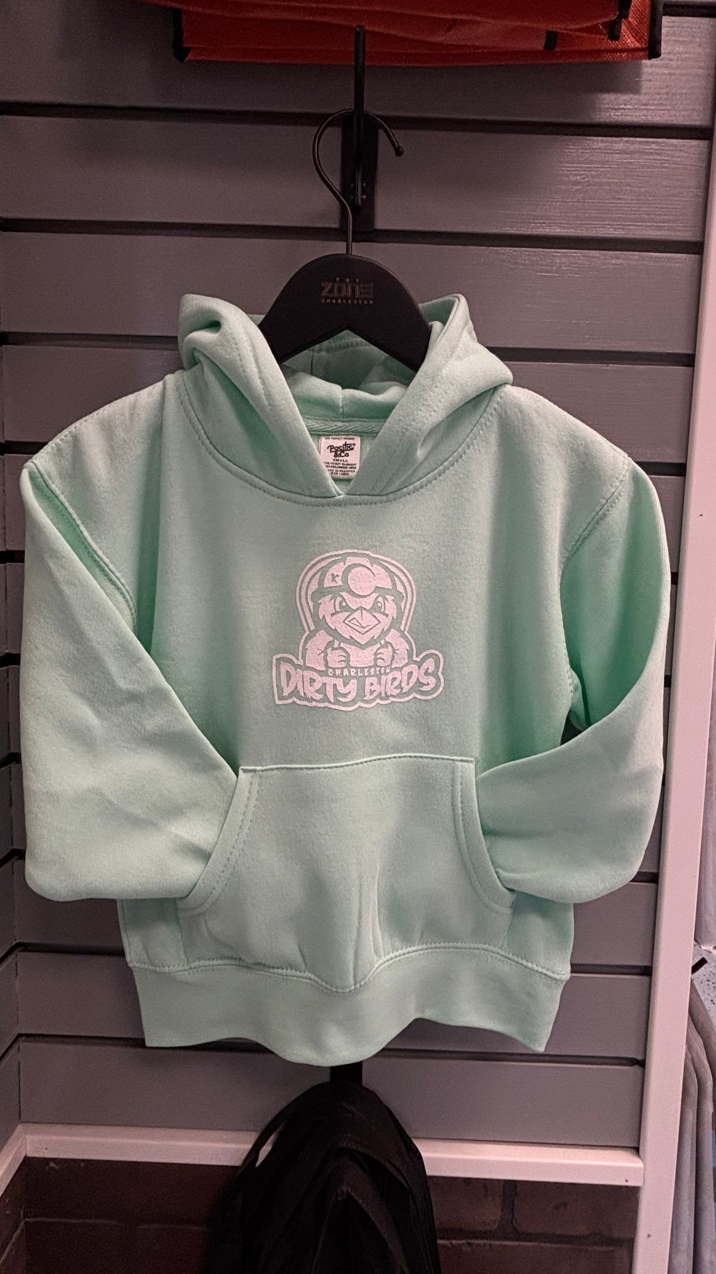 Youth Hoodie - Seafoam