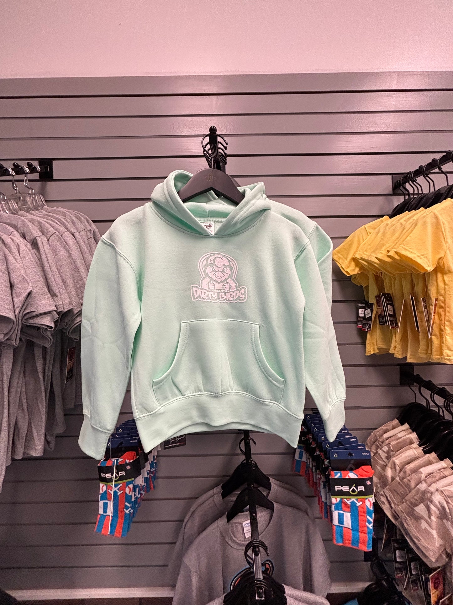 Youth Hoodie - Seafoam