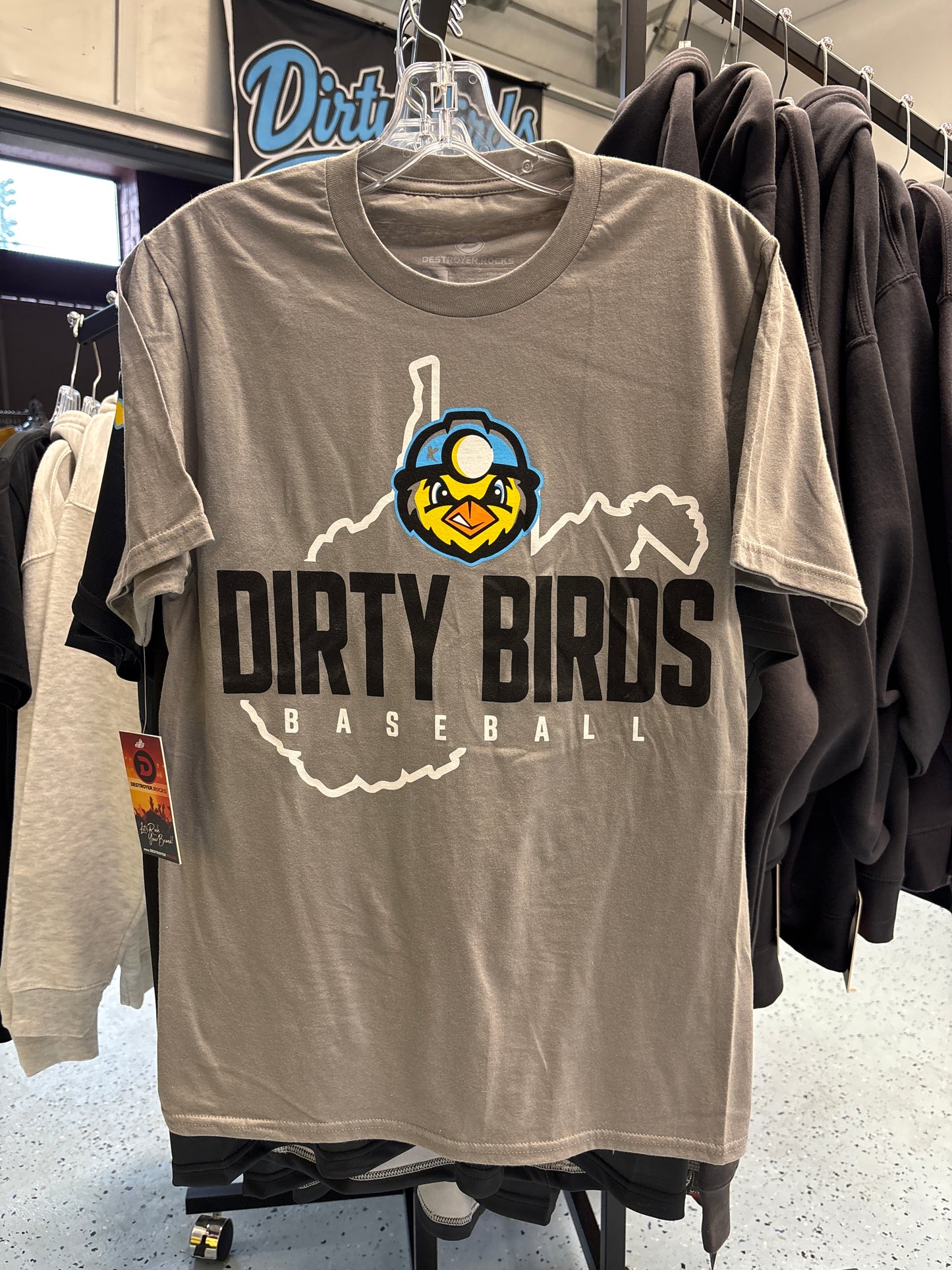 Tees, WV Outline - Medium Grey