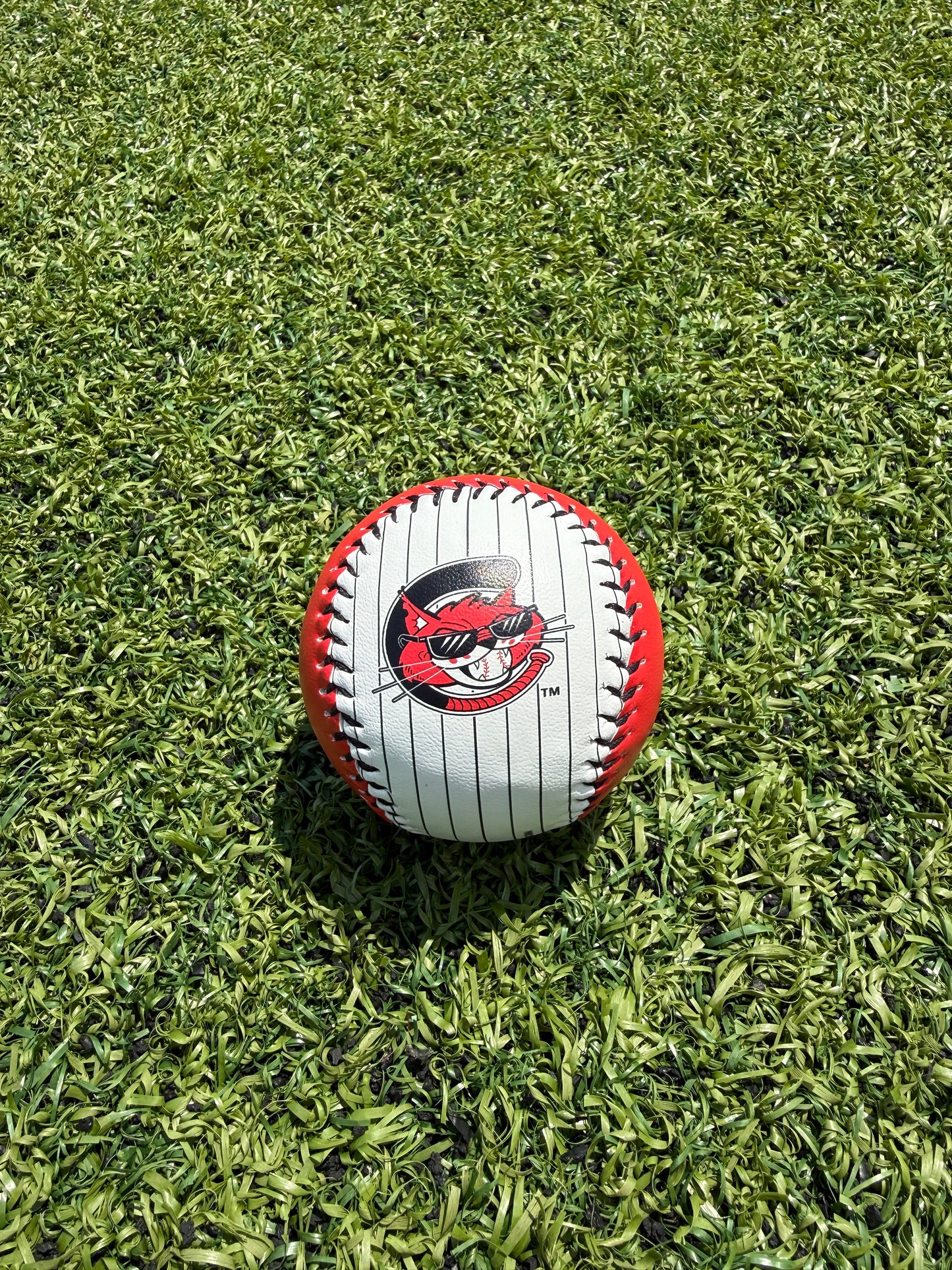 Baseballs - Alley Cats