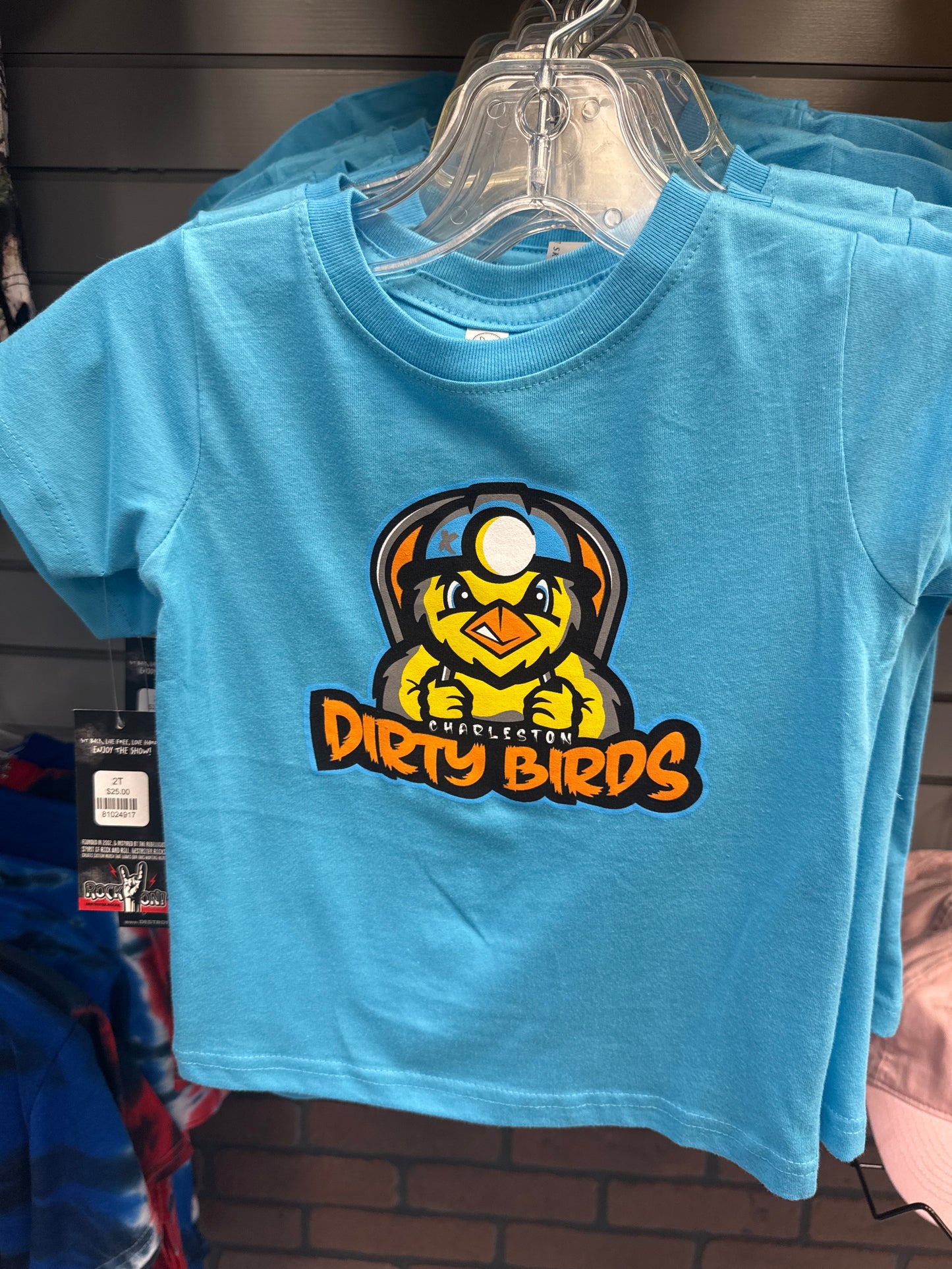 Toddler Fine Jersey Tee - Aqua