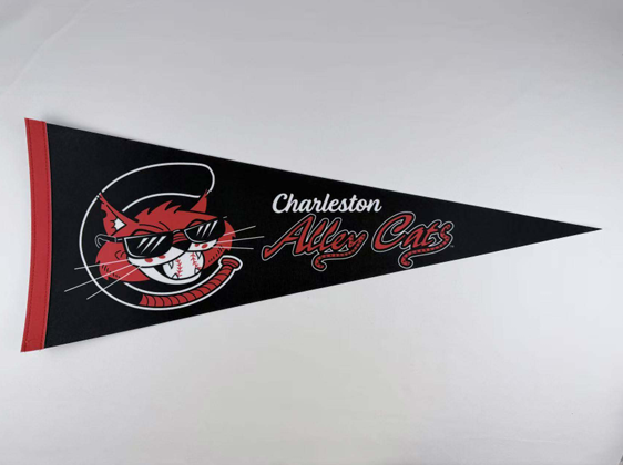 Pennant - Alley Cats