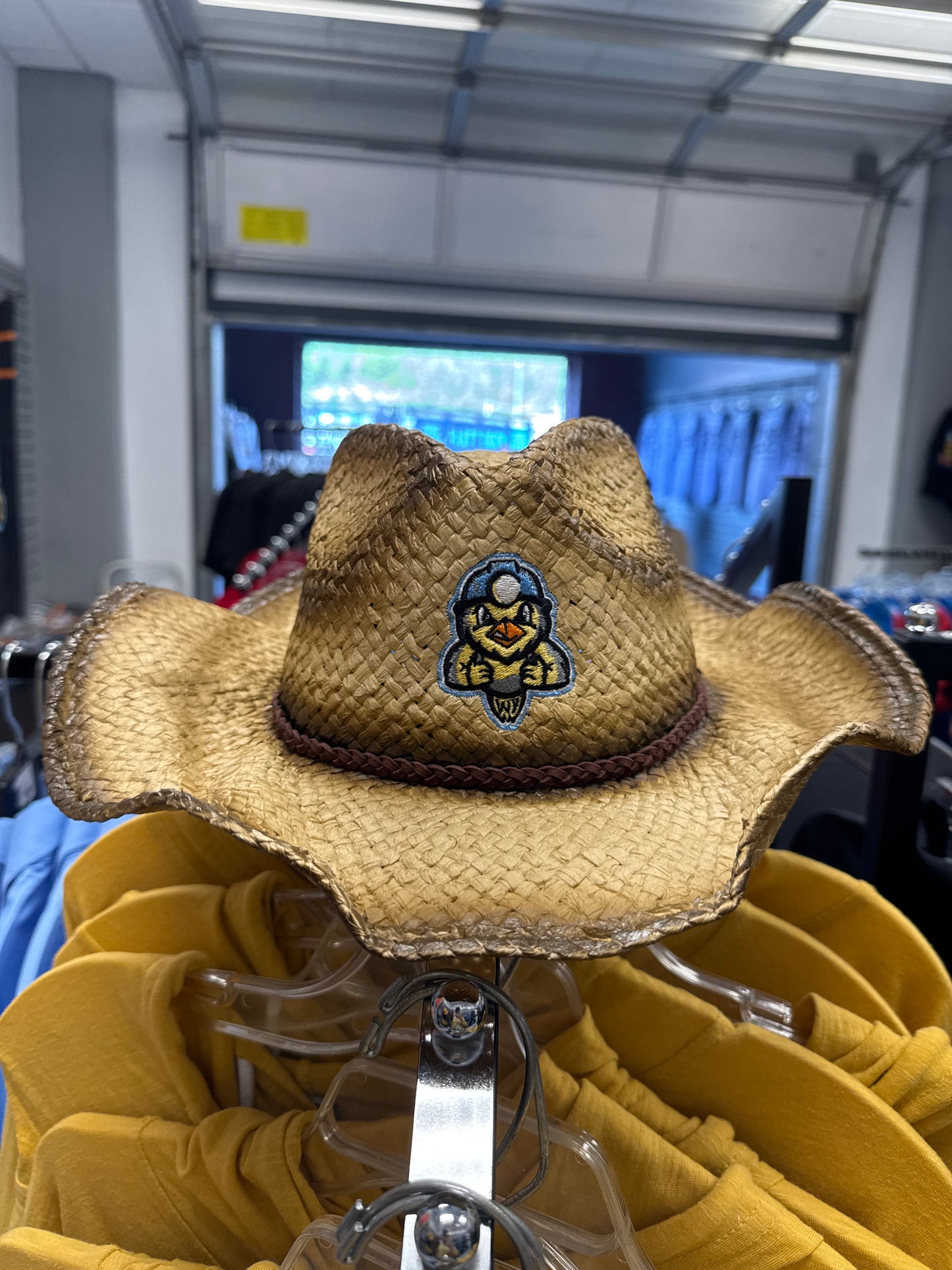 Cowboy Hat