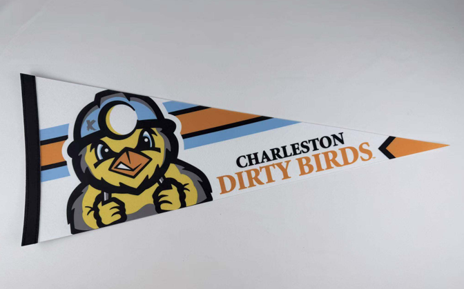 Pennant - Dirty Birds, Stripes