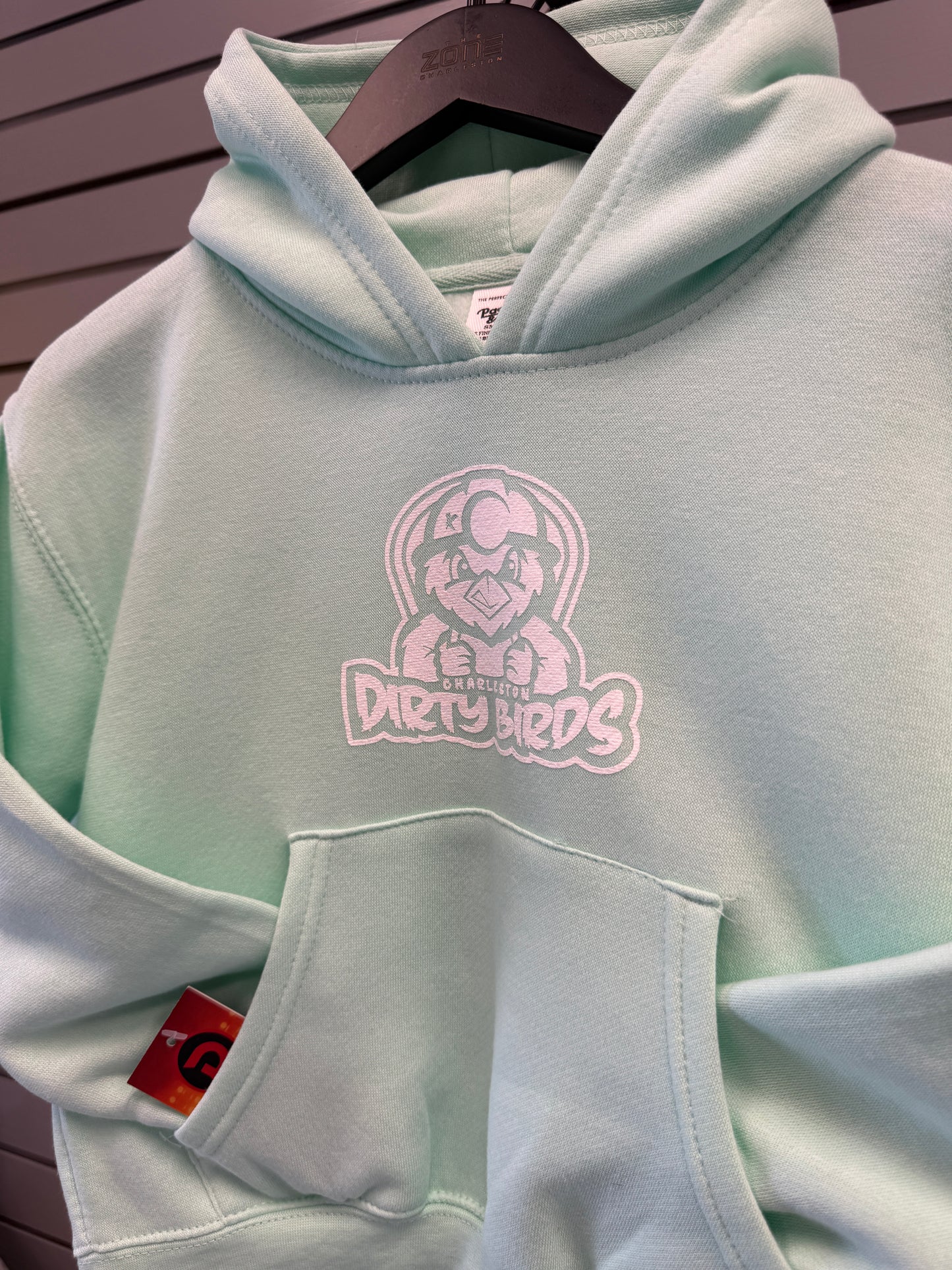 Youth Hoodie - Seafoam