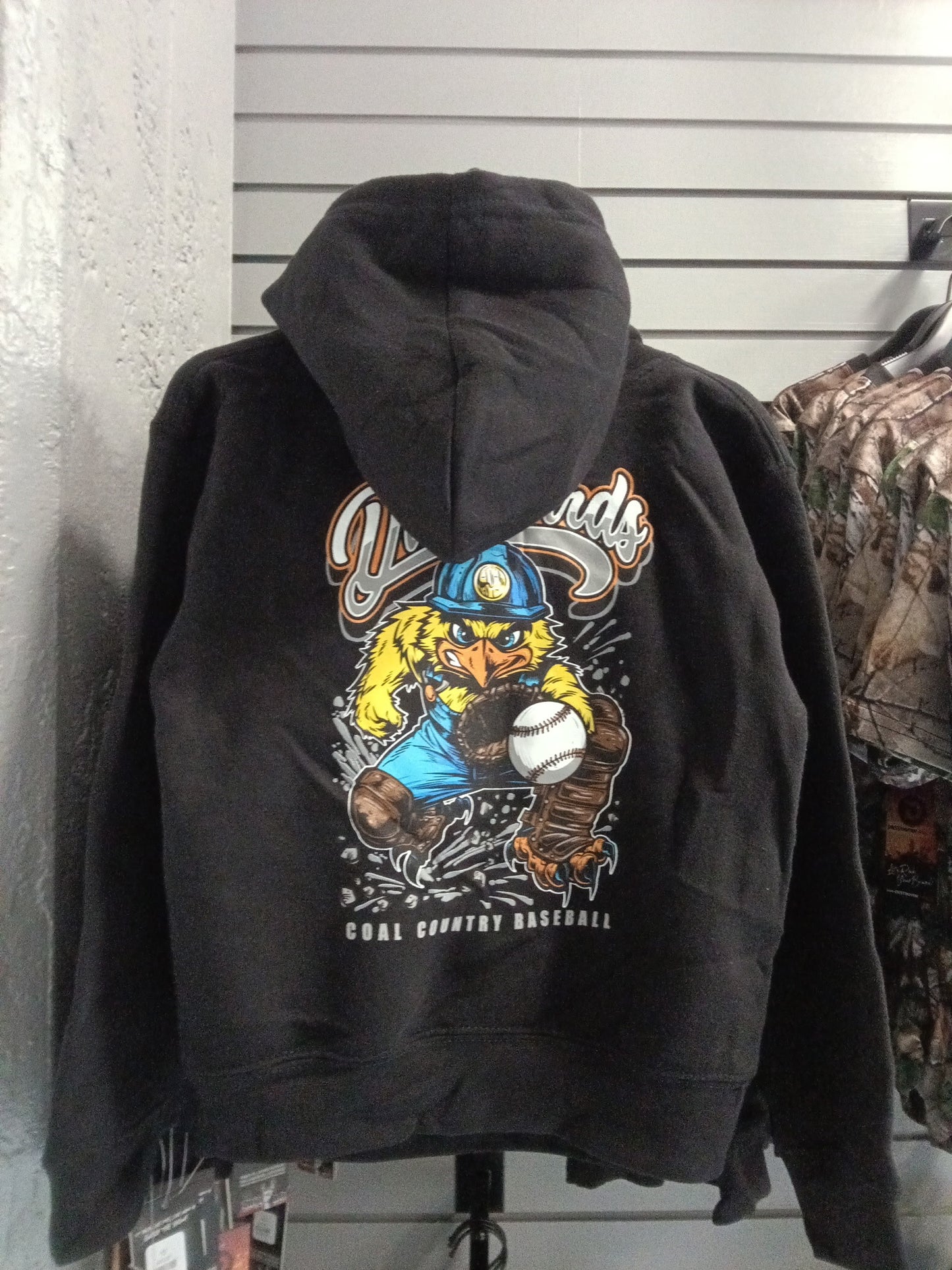 Youth Hoodie - Catcher